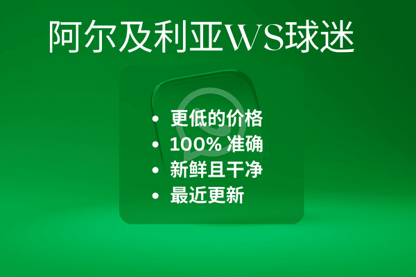 阿尔及利亚WS球迷