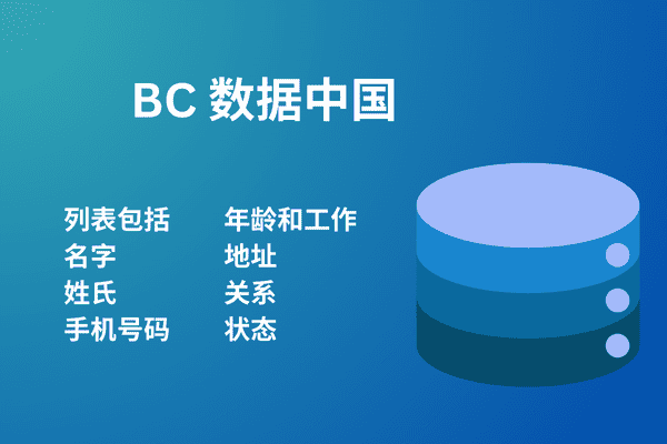 BC 数据中国