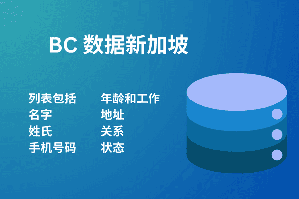 BC 数据新加坡