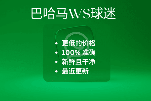 巴哈马WS球迷