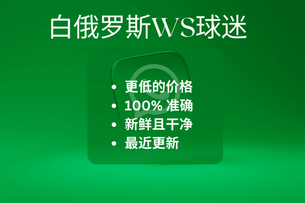 白俄罗斯WS球迷