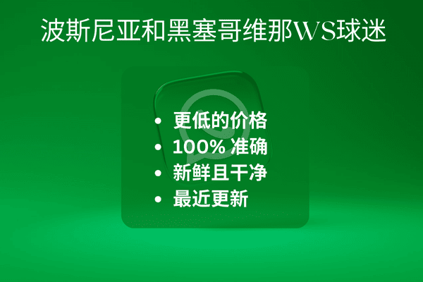 波斯尼亚和黑塞哥维那WS球迷