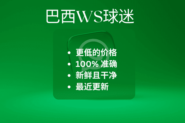 巴西WS球迷