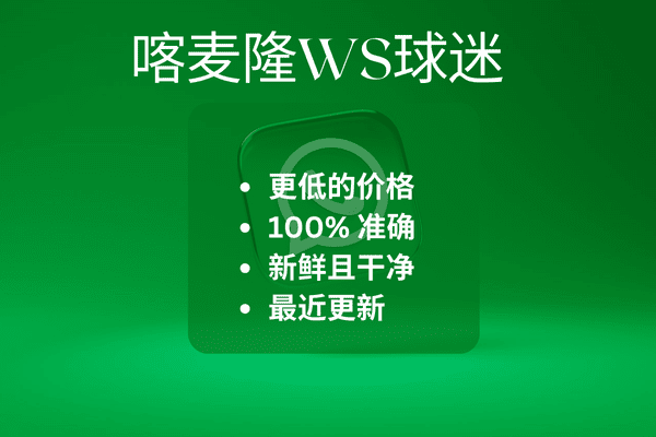 喀麦隆WS球迷