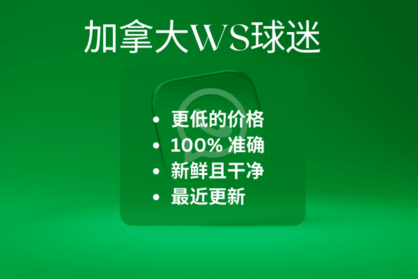 加拿大WS球迷