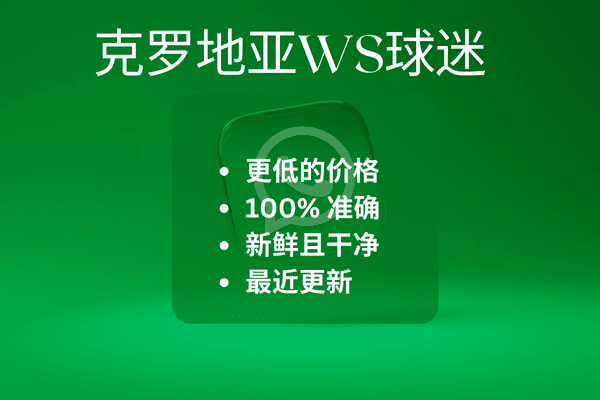 克罗地亚WS球迷