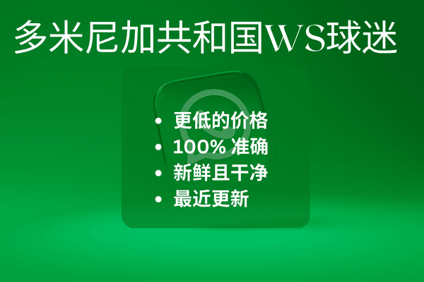 多米尼加共和国WS球迷