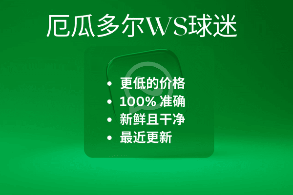 厄瓜多尔WS球迷