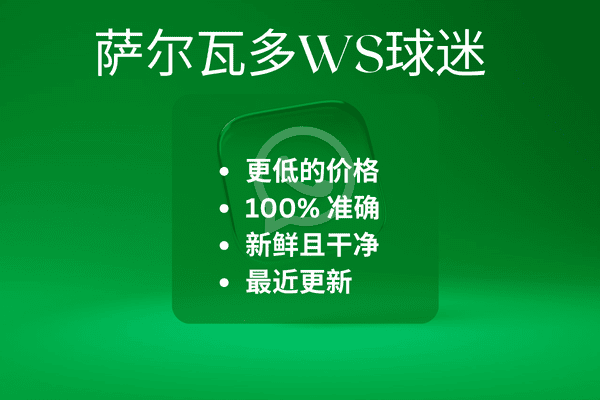 萨尔瓦多WS球迷