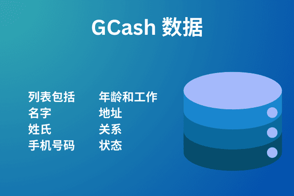 GCash 数据