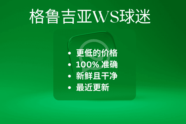 格鲁吉亚WS球迷