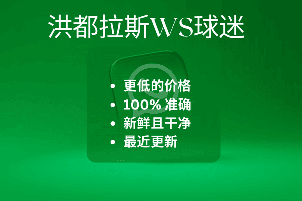 洪都拉斯WS球迷