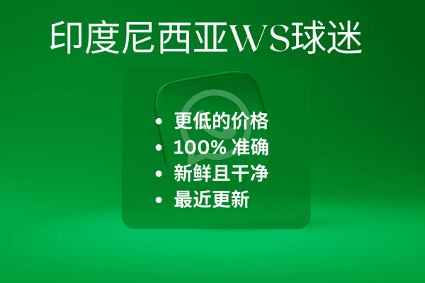 印度尼西亚WS球迷