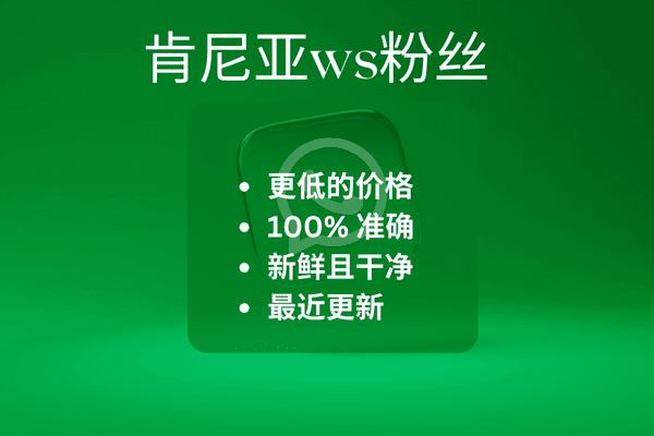 肯尼亚ws粉丝