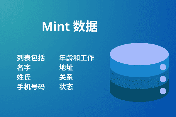 Mint 数据