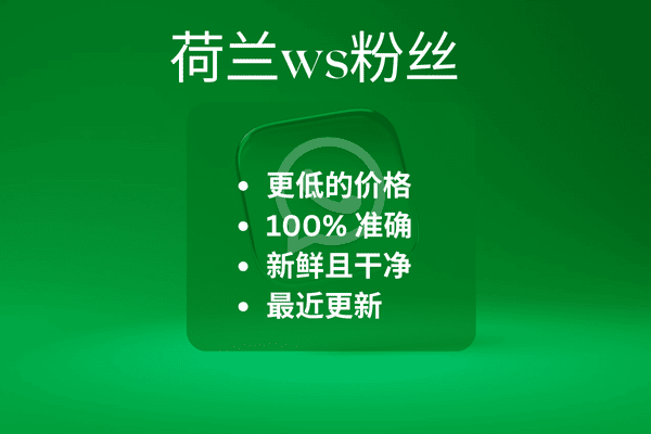 荷兰ws粉丝