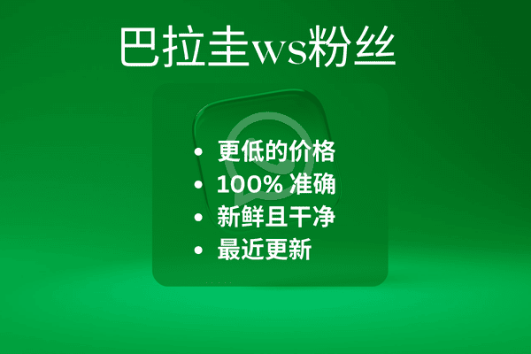 巴拉圭ws粉丝​