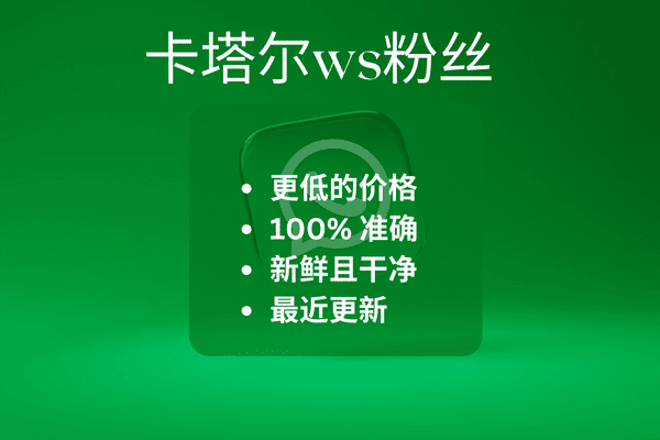 卡塔尔ws粉丝