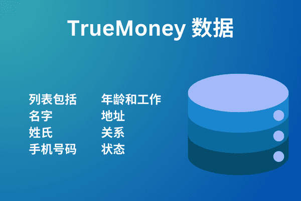 TrueMoney 数据