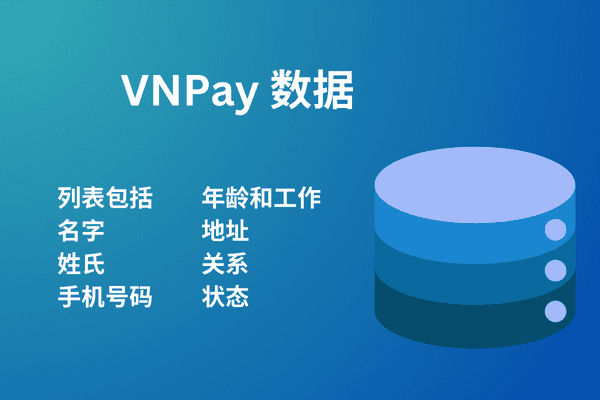 VNPay 数据